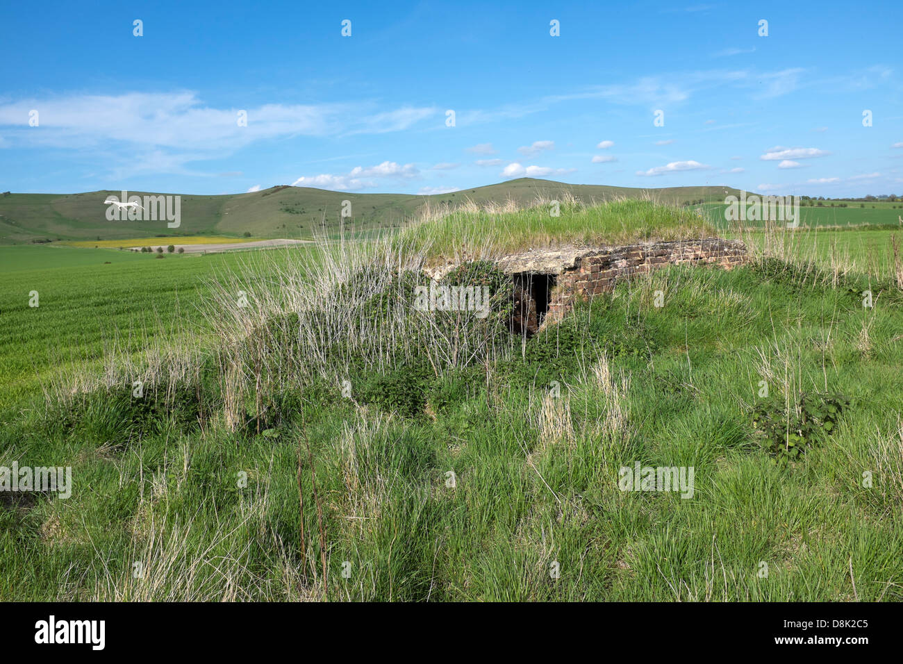 Scatola di pillole di guerra tra Stanton St Bernard e Alton Barnes Foto Stock