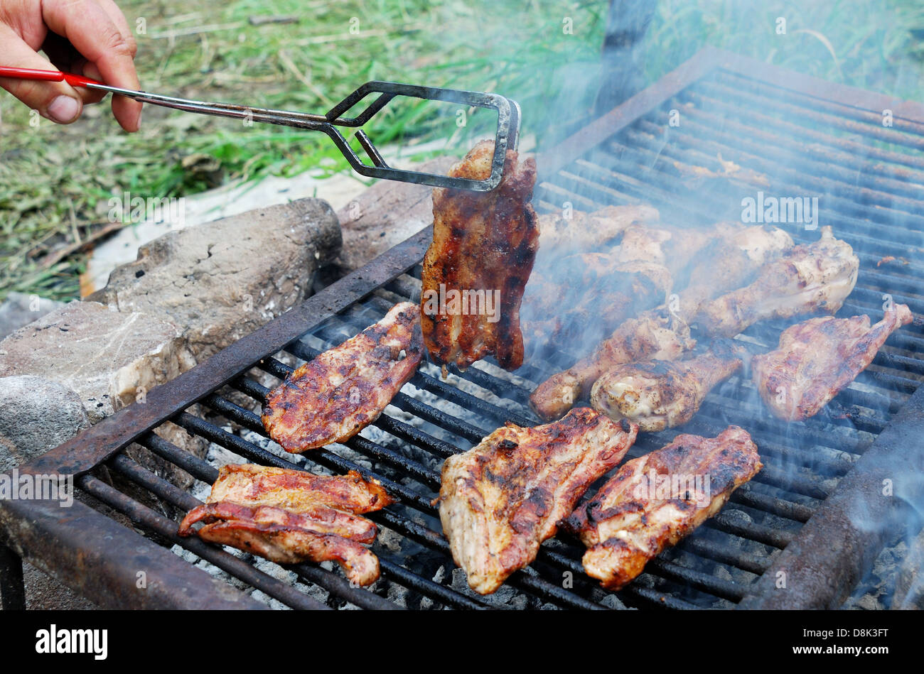 Grill all'aperto e barbecue, picnic food. Foto Stock