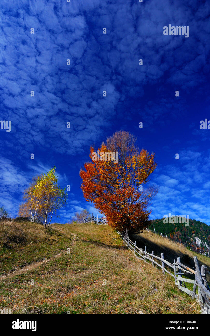In autunno il paesaggio rurale in Romania, Piatra Craiului, montagne dei Carpazi Foto Stock