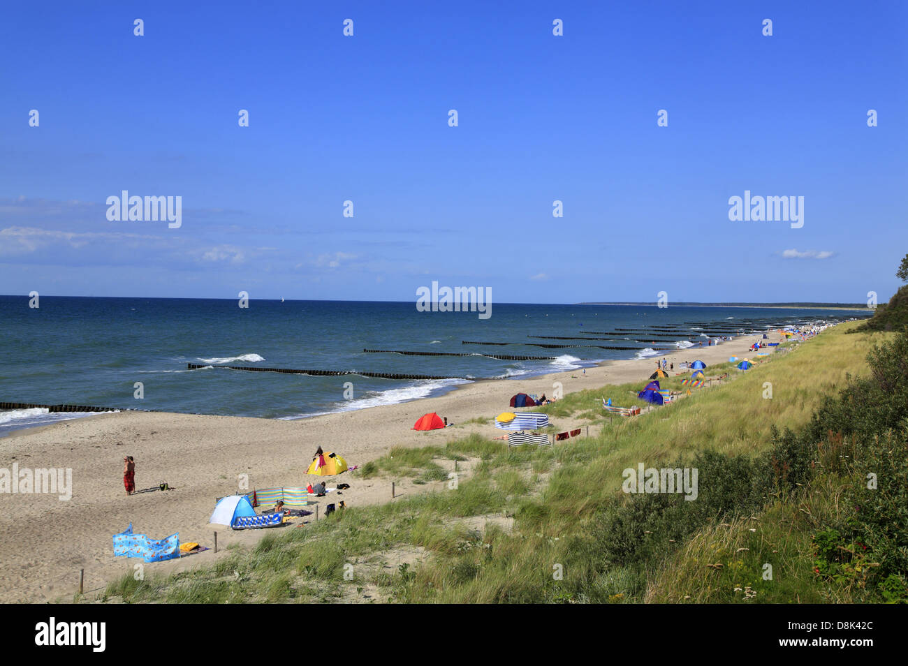 Ahrenshoop beach, Fischland, Mar Baltico, Meclemburgo Pomeranmia, Germania Foto Stock