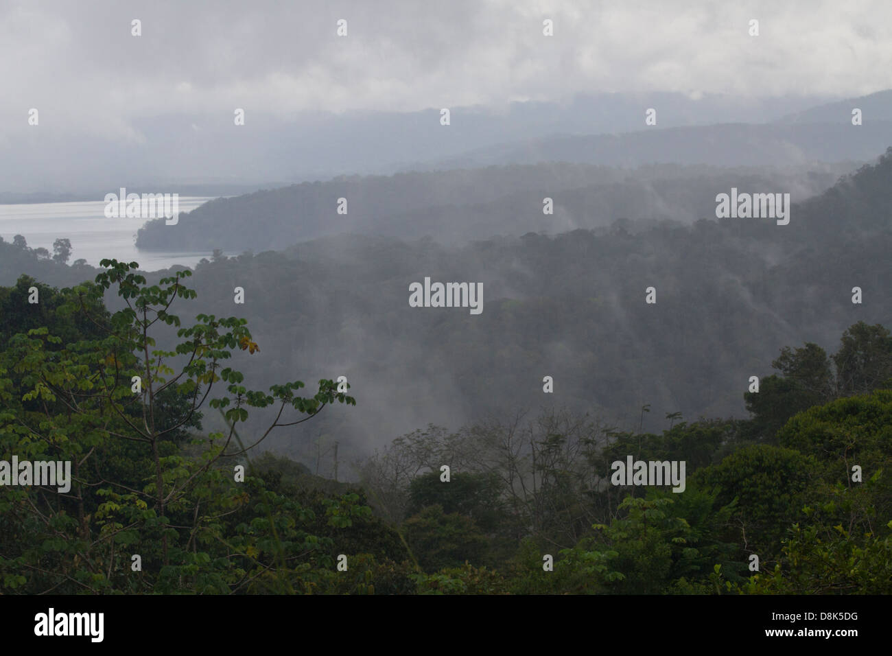 Parque Nacional Corcovado, Costa Rica Foto Stock