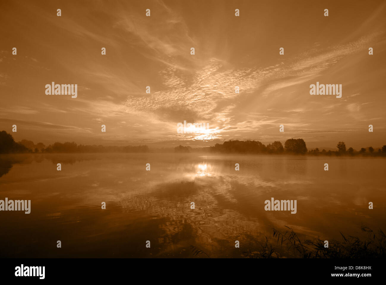 Mattina in un lago Foto Stock