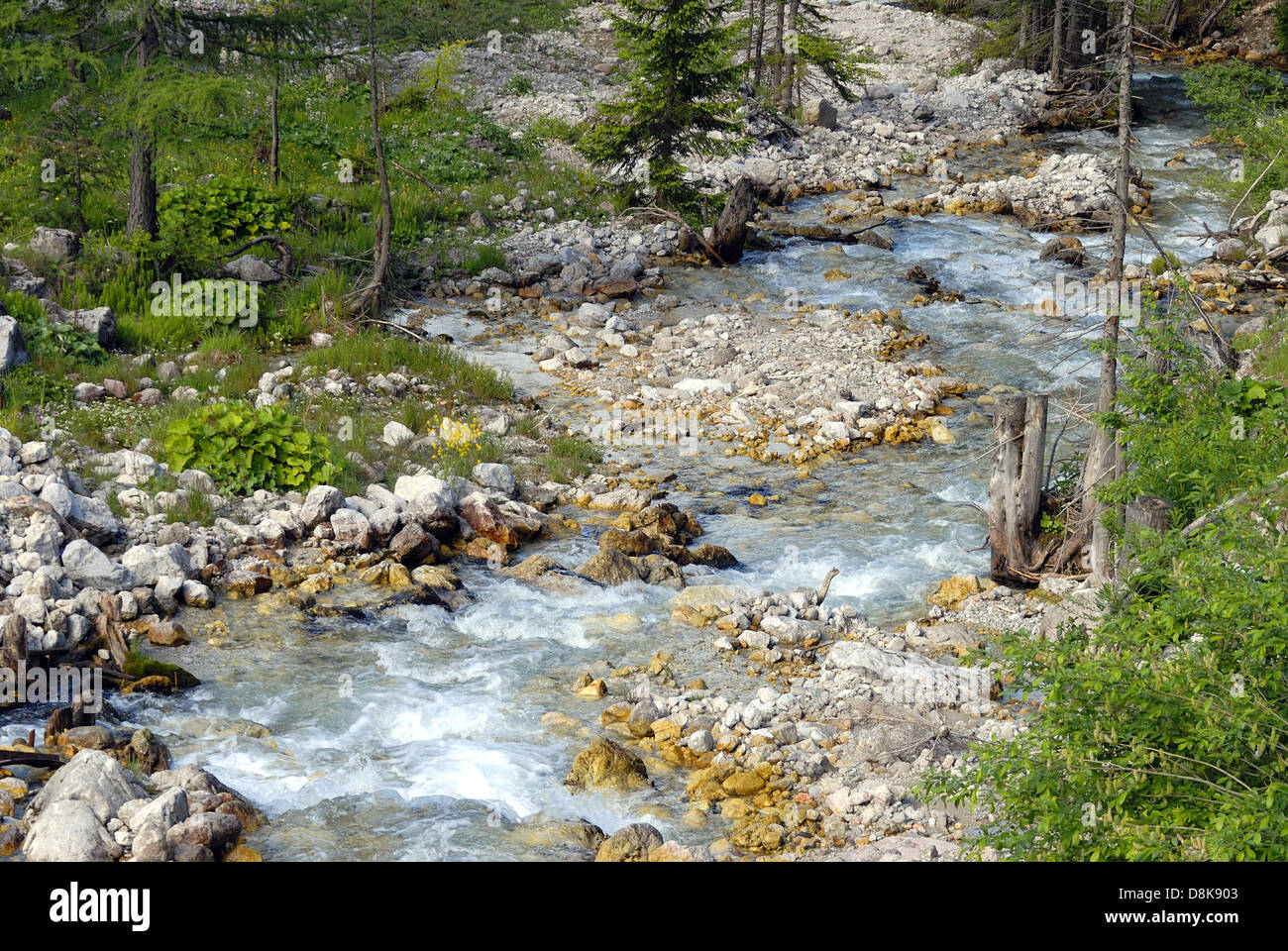 Torrente di montagna Foto Stock