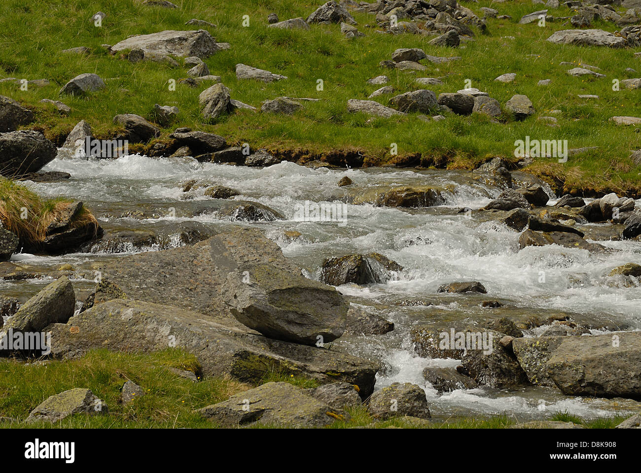 Torrente di montagna Foto Stock