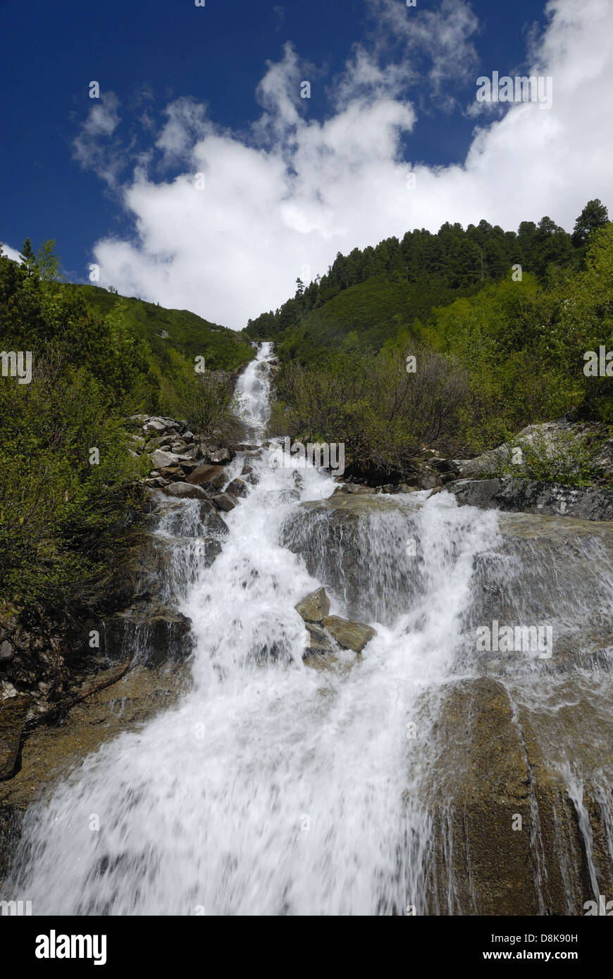 Torrente di montagna Foto Stock