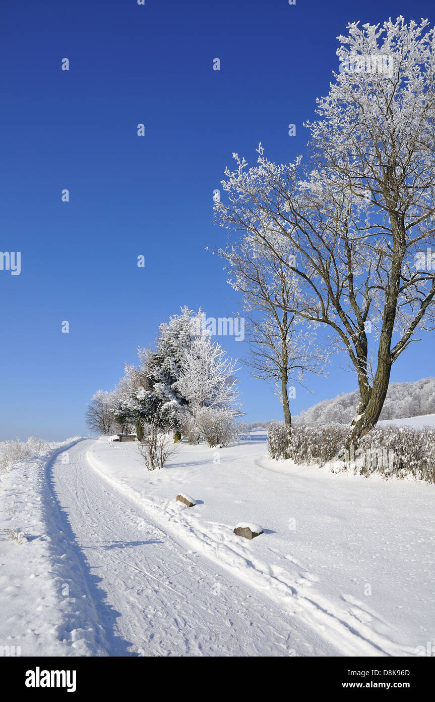 Inverno Foto Stock