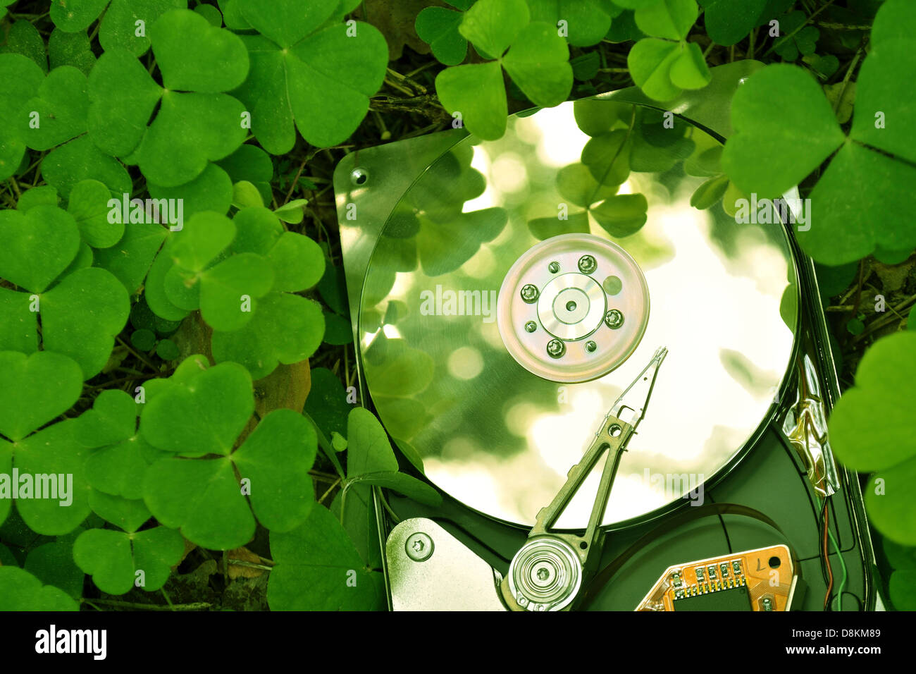 Ambiente amichevole concetto tecnologico; disco rigido nella foresta di erba; concentrarsi su HDD Foto Stock