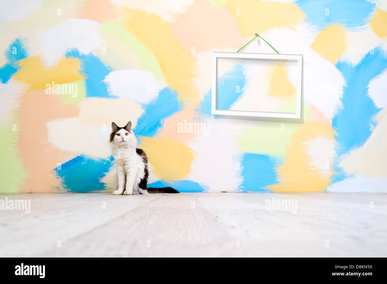 Colore interno Foto Stock