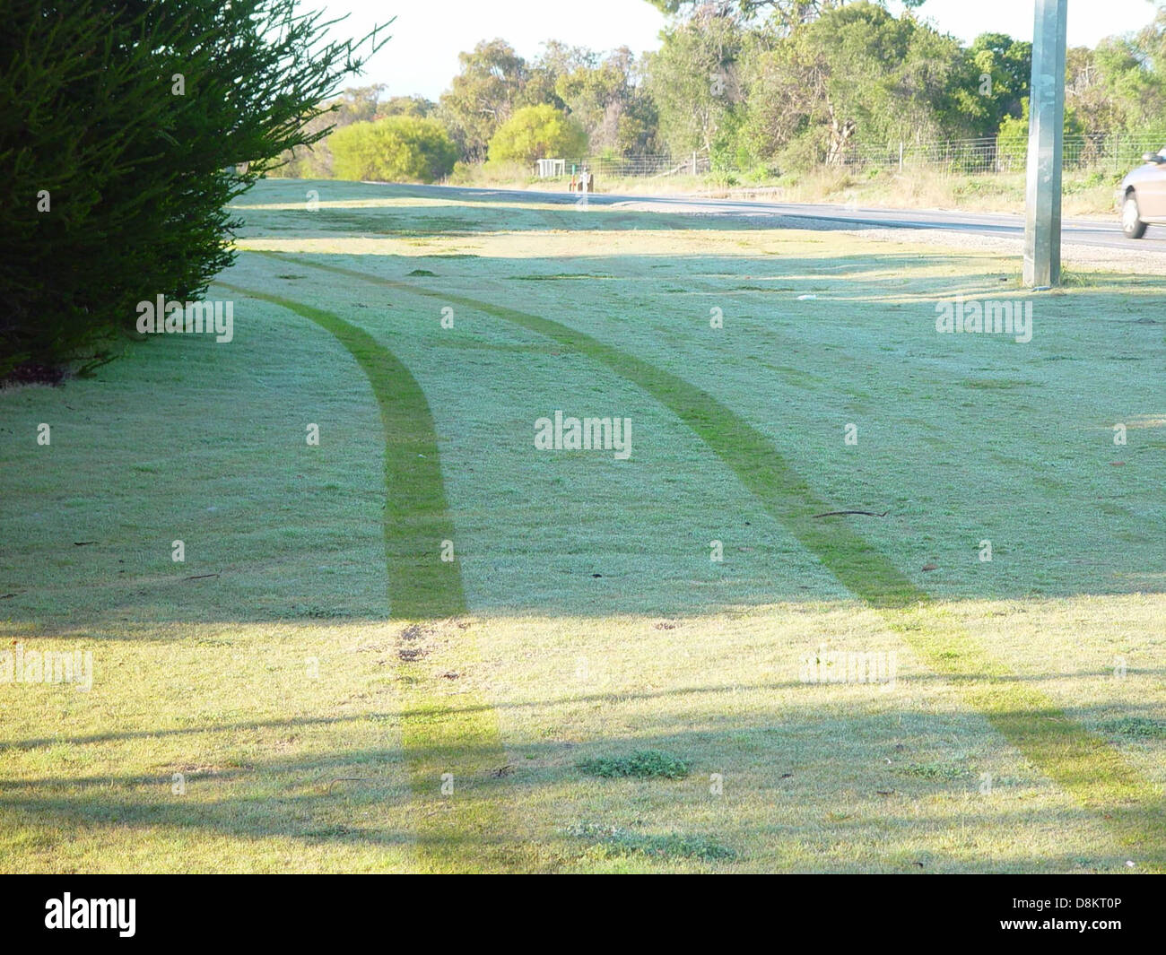 Le impronte degli pneumatici sono visibili nell'erba coperta di rugiada, mostrando i segni lasciati da un veicolo che passa. La rugiada del mattino presto aggiunge un effetto morbido e scintillante all'erba, mentre le tracce degli pneumatici creano chiare impressioni sul terreno. Questa immagine cattura un momento nel tempo in cui l'attività umana interagisce con la natura. Foto Stock