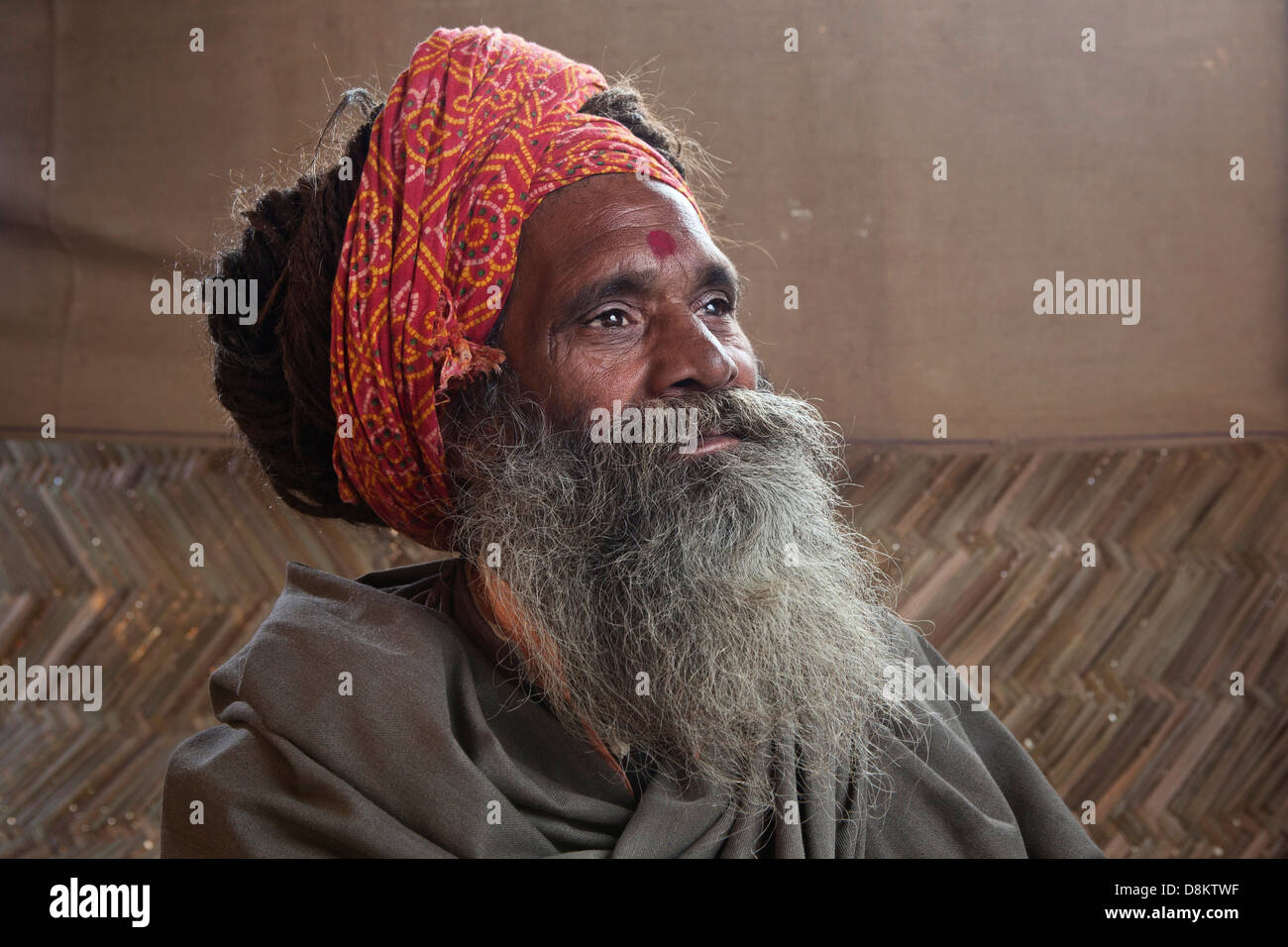 Ritratto di un uomo santo presso il Kumbh Mela 2013 in Allahabad, India Foto Stock