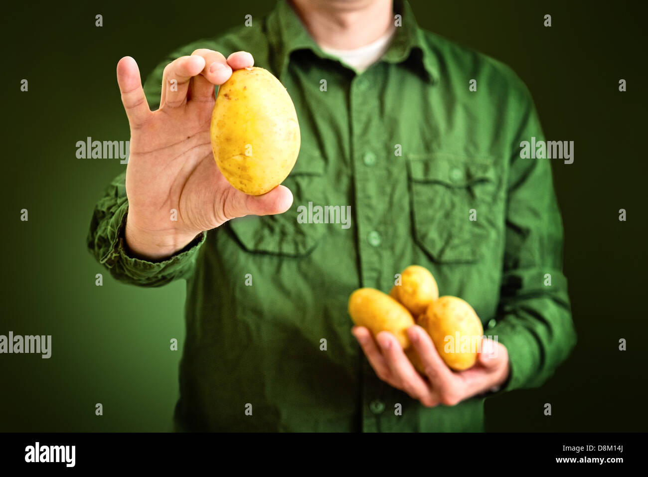 L'agricoltore che detiene la patata gialla in mani. Foto Stock