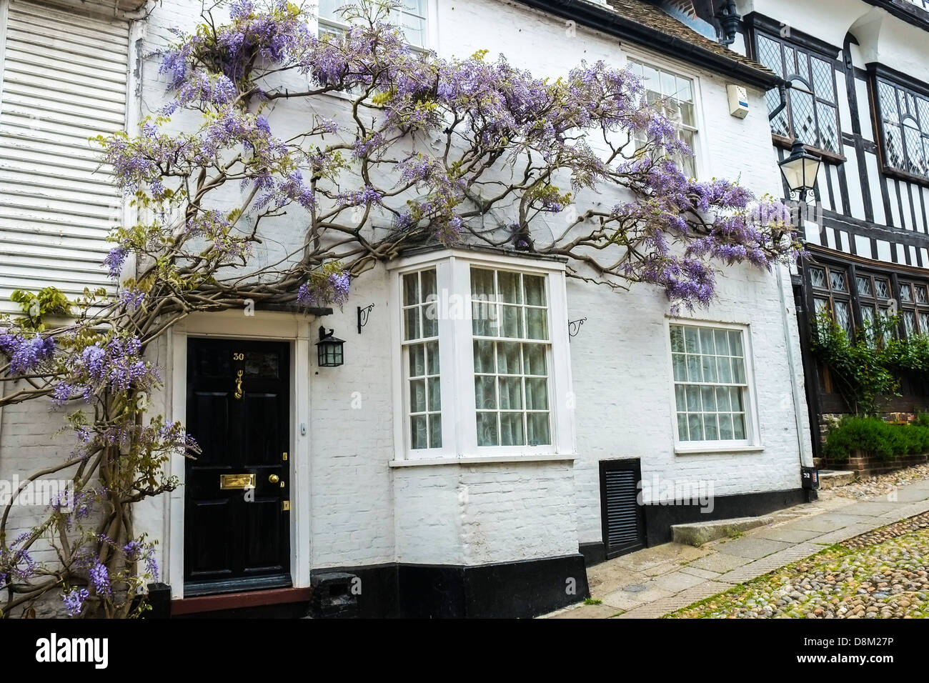 Glicine saneness crescere lungo la parte anteriore di una casa in Mermaid Street a Rye nel Sussex orientale nel Regno Unito. Foto Stock