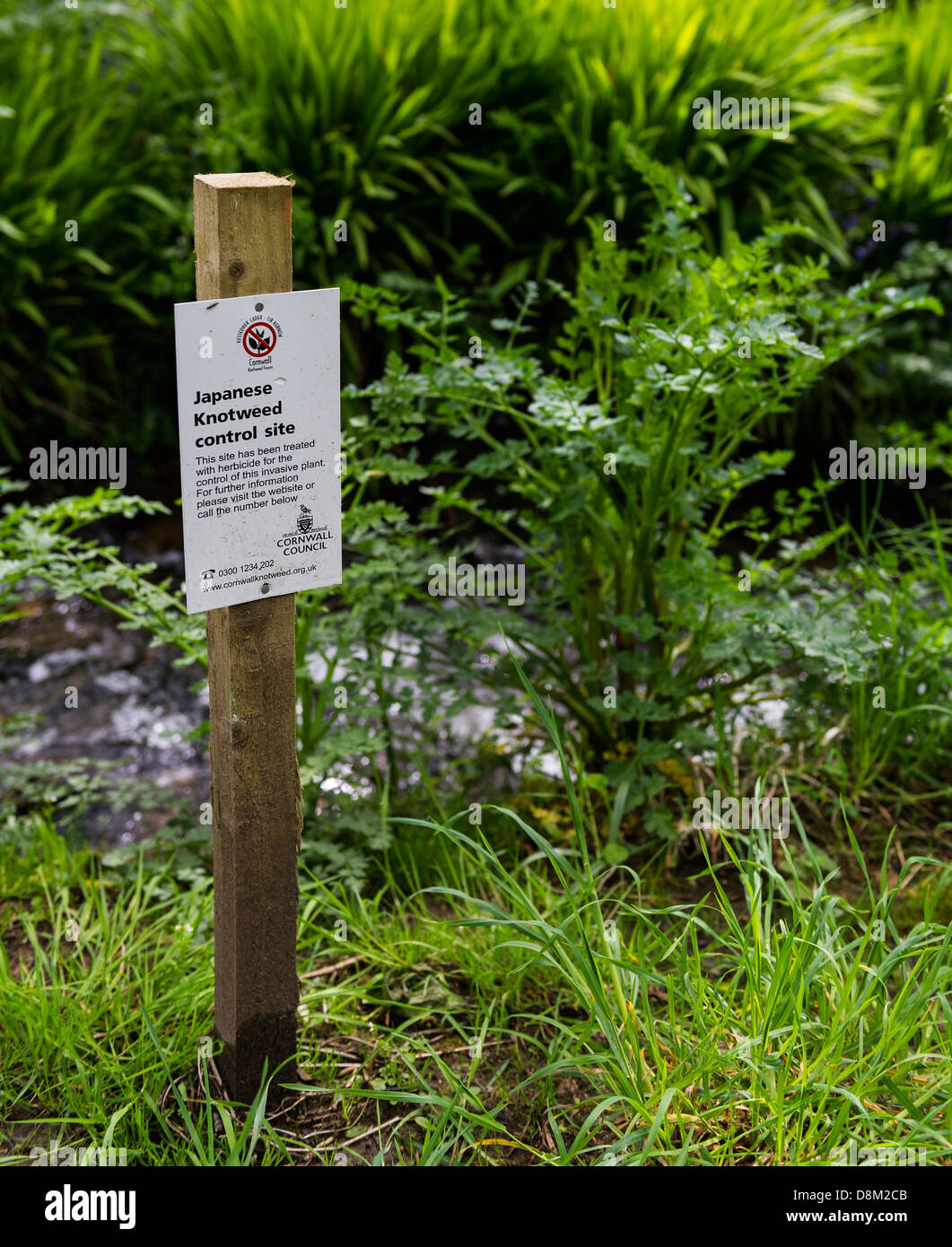 Un segno avverte circa l'uso di erbicidi per il controllo knotweed giapponese in culla Valley. Foto Stock
