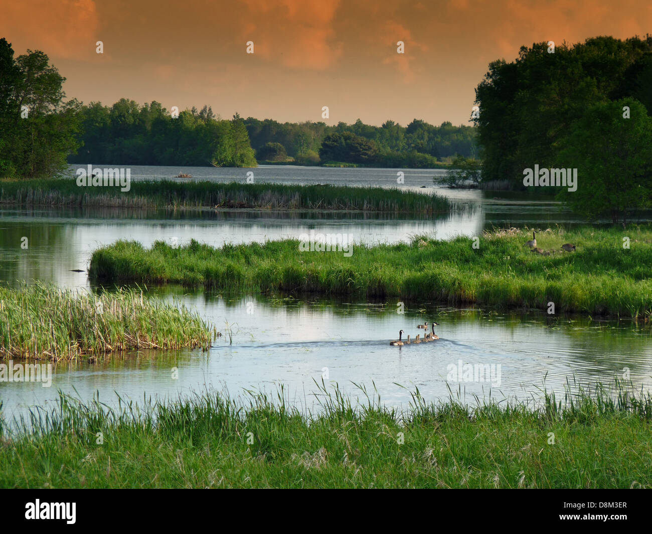 Wisconsin paesaggio flusso scenico lago wetland Foto Stock