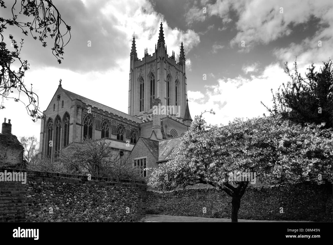 La molla vista su St Edmundsbury Cathedral, Bury St Edmunds città, contea di Suffolk, Inghilterra Foto Stock