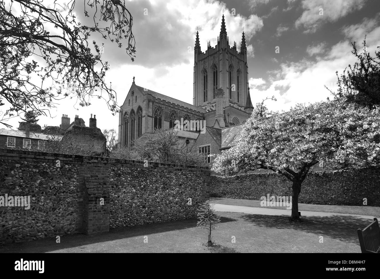 La molla vista su St Edmundsbury Cathedral, Bury St Edmunds città, contea di Suffolk, Inghilterra Foto Stock