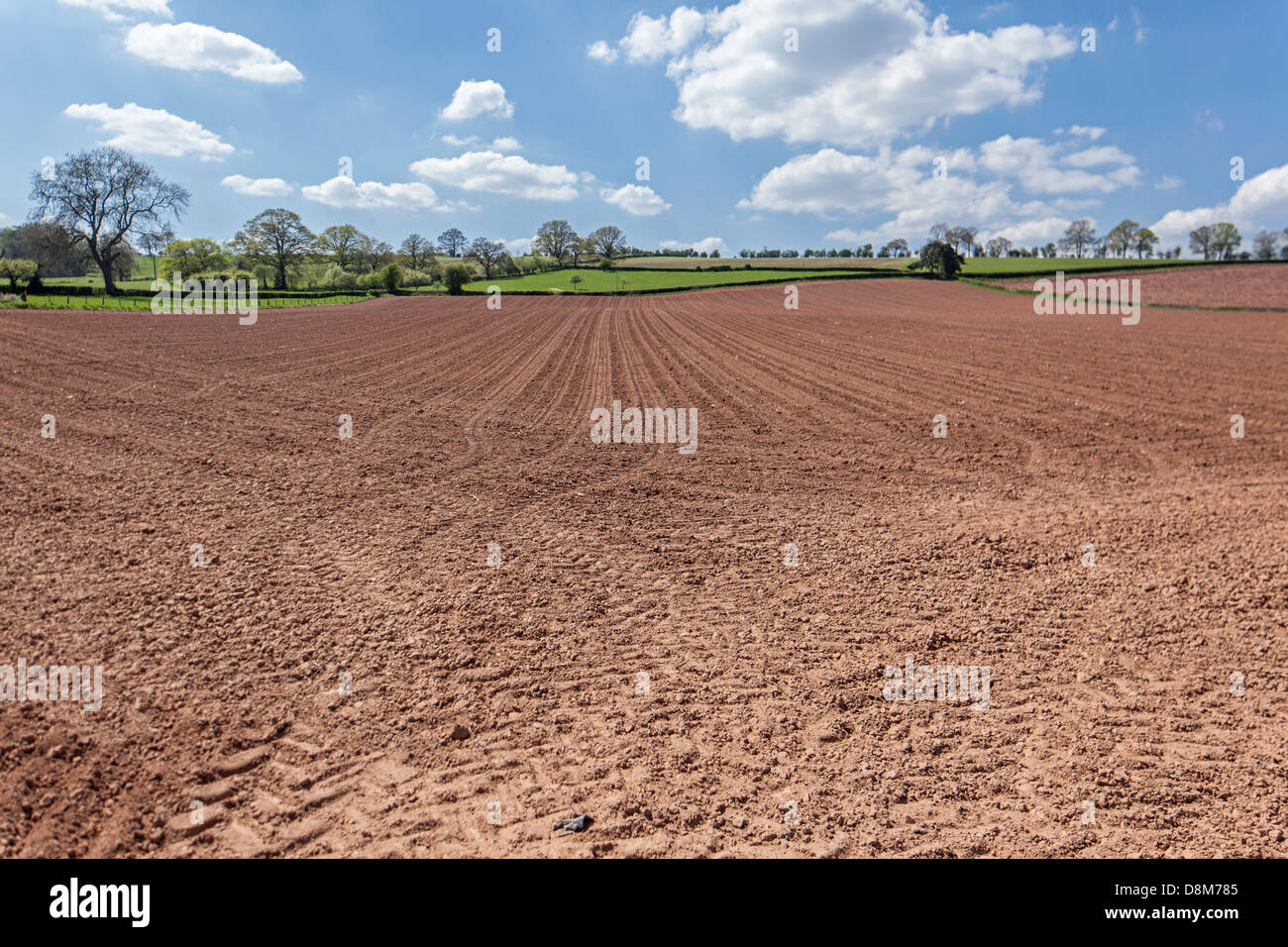 Campo coltivato con grande scala i metodi di coltivazione, Worcestershire, England, Regno Unito Foto Stock