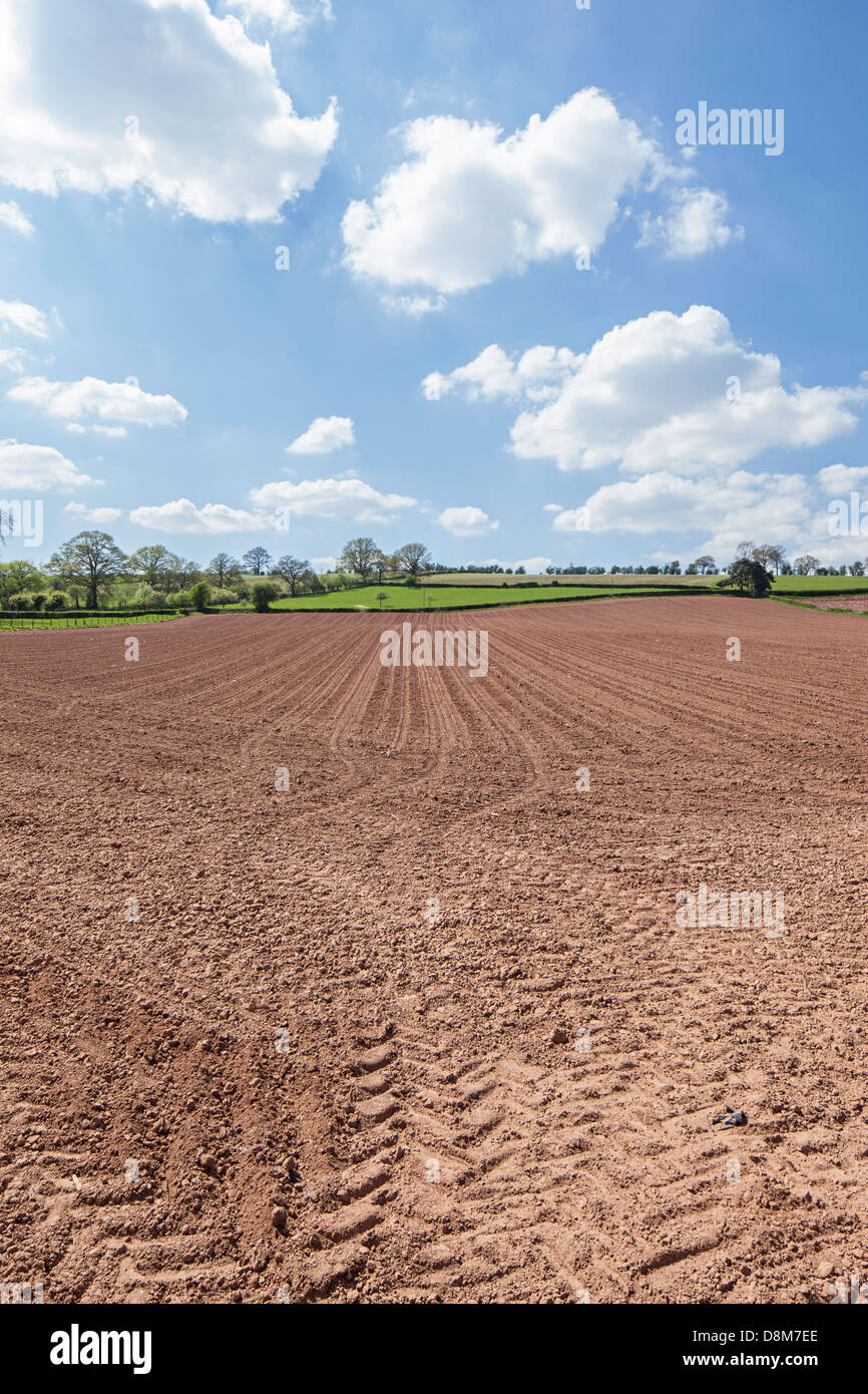 Campo coltivato con grande scala i metodi di coltivazione, Worcestershire, England, Regno Unito Foto Stock