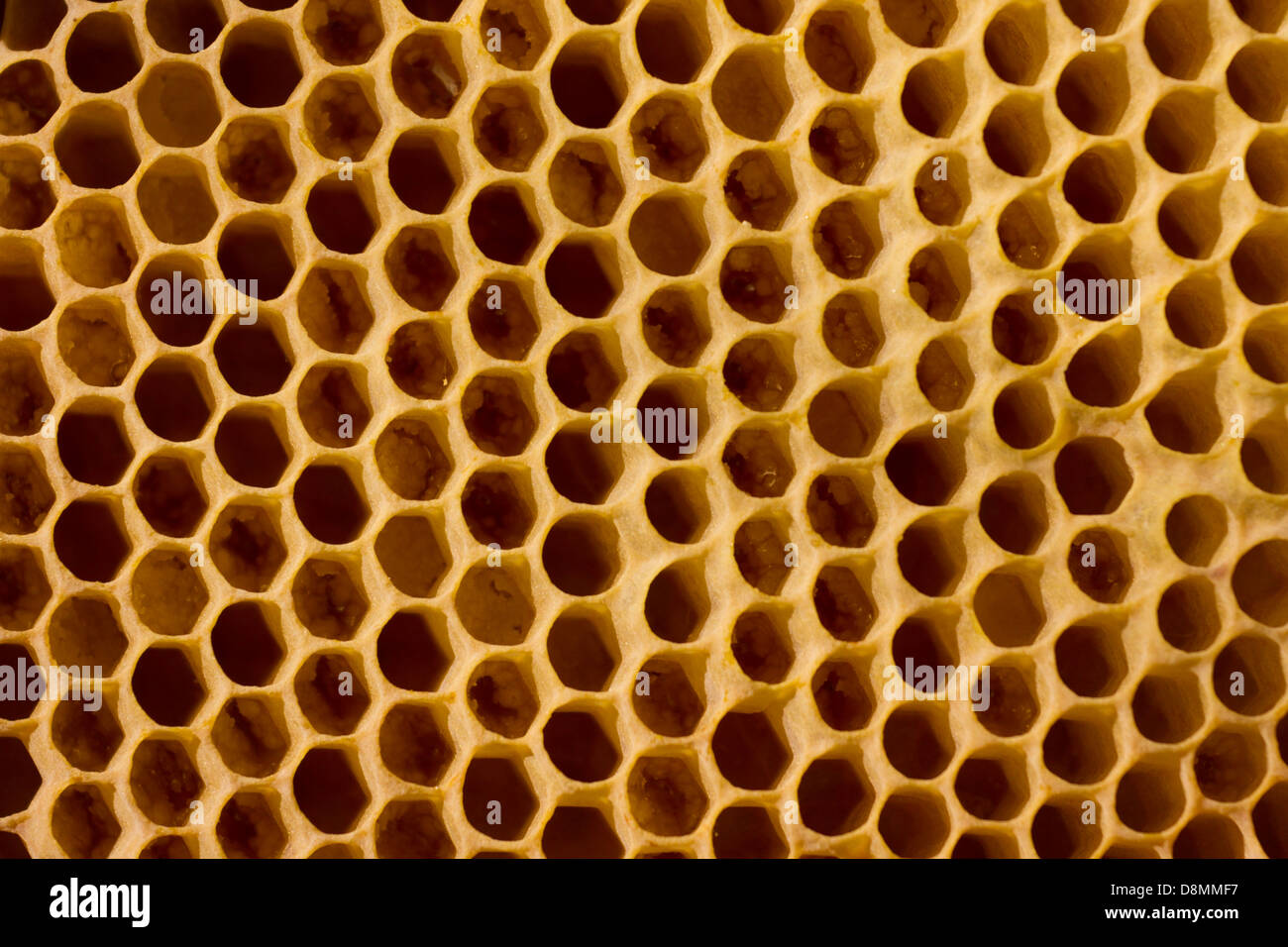 Honey cells immagini e fotografie stock ad alta risoluzione - Alamy