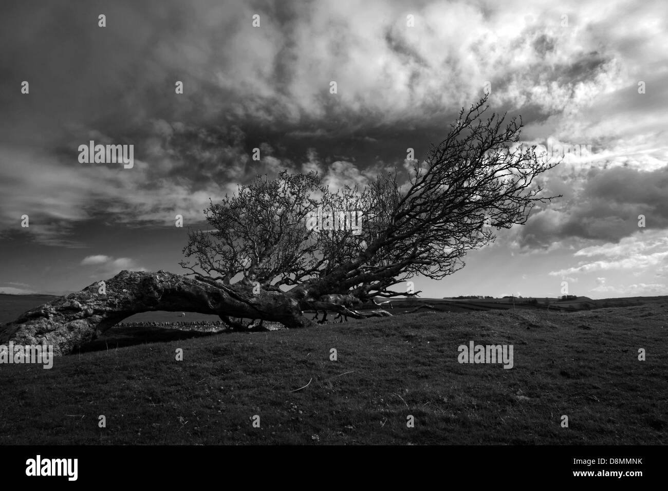 Per raggiungere il cielo Foto Stock