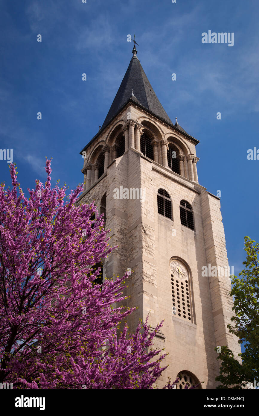 Alberi in fiore alla base della Eglise Saint Germain campanile (costruito 990-1043 AD), Saint-Germain-des-Pres Parigi Francia Foto Stock