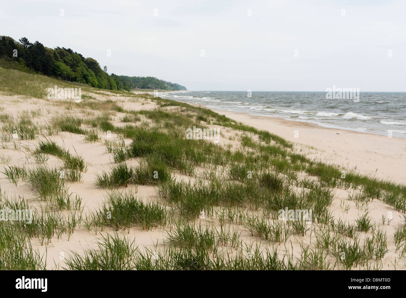 Il lago Michigan dune di sabbia in una giornata di vento con onde che si infrangono sulla spiaggia vicino a Whitehall, MI, Stati Uniti d'America. Foto Stock