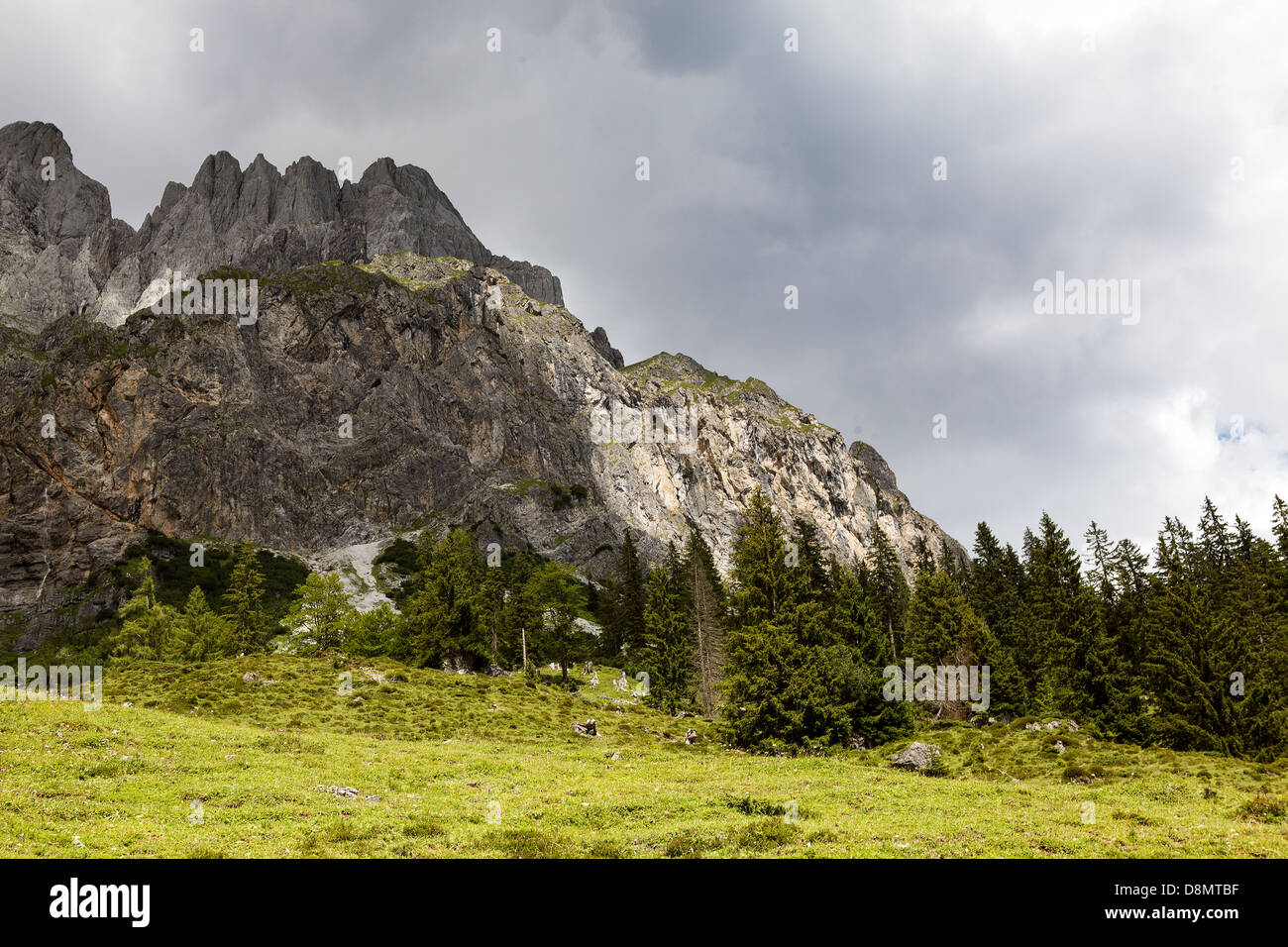 Alpi austriache in estate Foto Stock