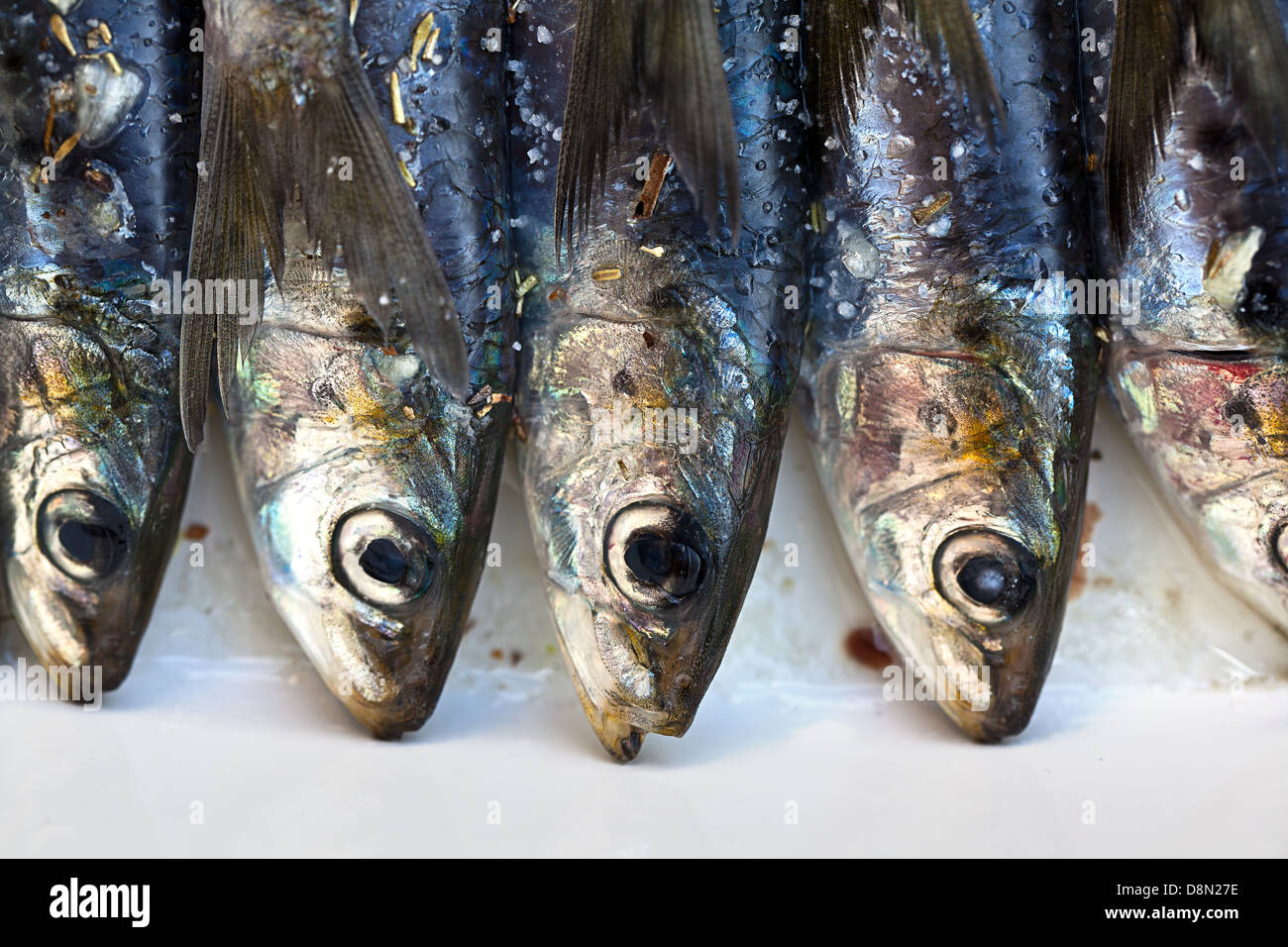 Sarde fresche con erbe aromatiche Foto Stock