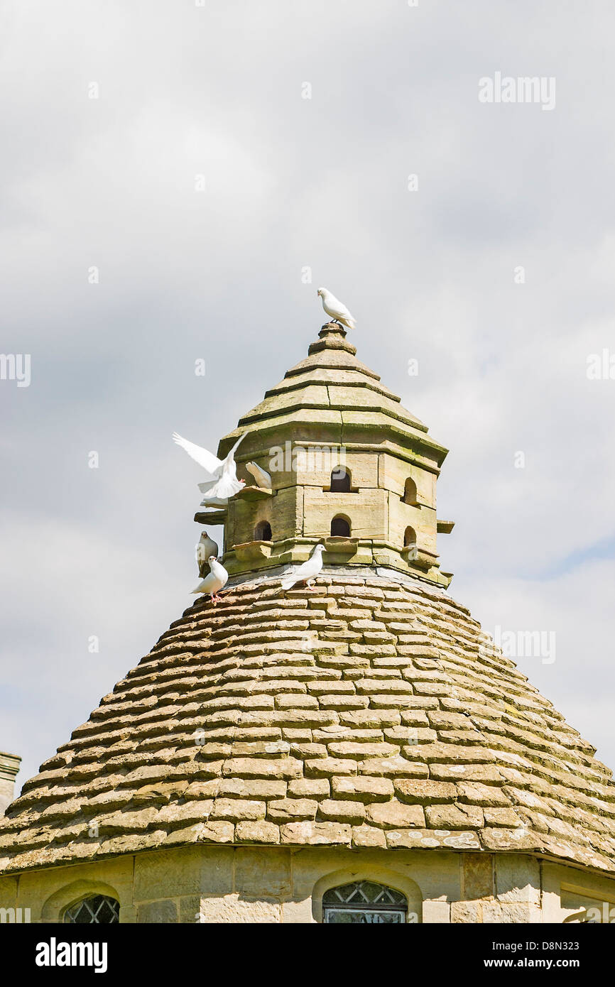 Colombaia a Nymans, Haywards Heath, West Sussex Foto Stock