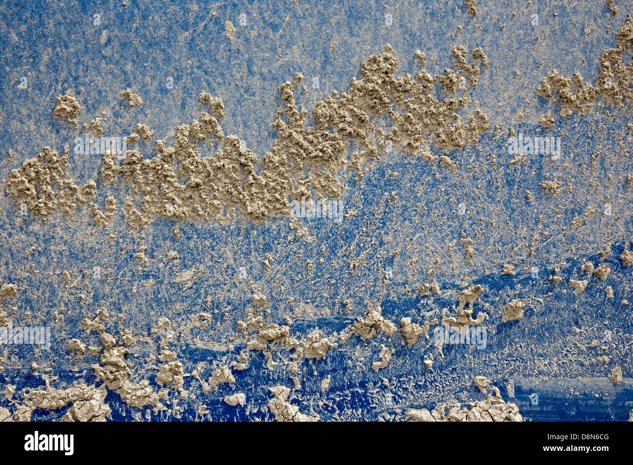 Clarts secco sulla parete blu Foto Stock