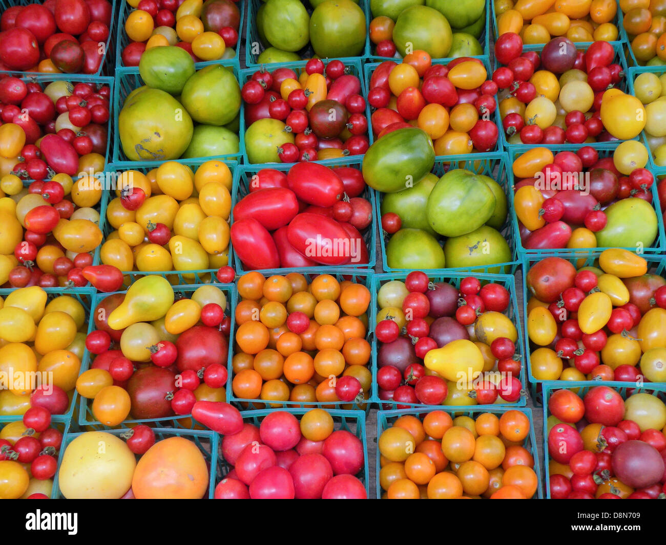 Pomodori organici in un mercato degli agricoltori Union Square a Manhattan Foto Stock