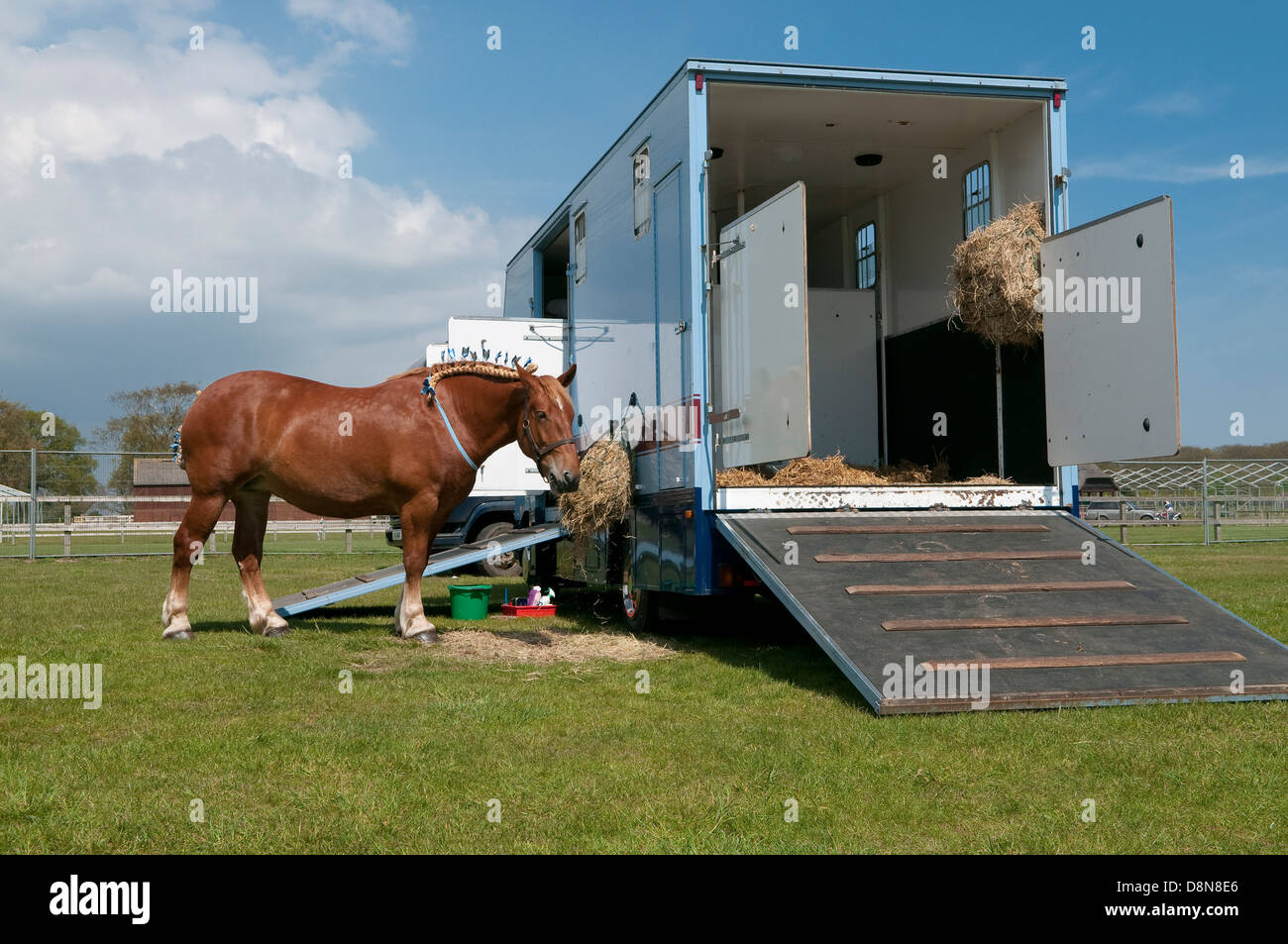 Cavallo accanto a cavallo carrello a Suffolk Horse Show a Ipswich, Regno Unito. Foto Stock