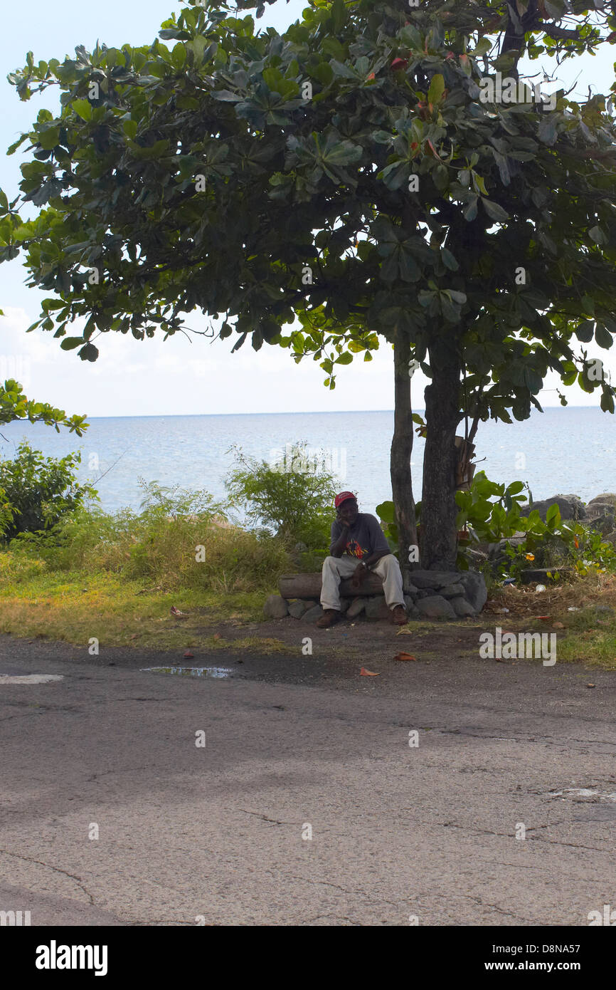 Uomo locale si sedette sotto un albero a l'isola caraibica di Basseterre Saint Kitts e Nevis isola nel West Indies Foto Stock