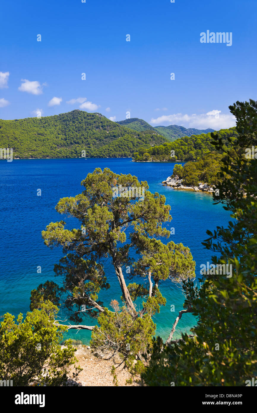 Lago a isola di Mljet in Croazia Foto Stock