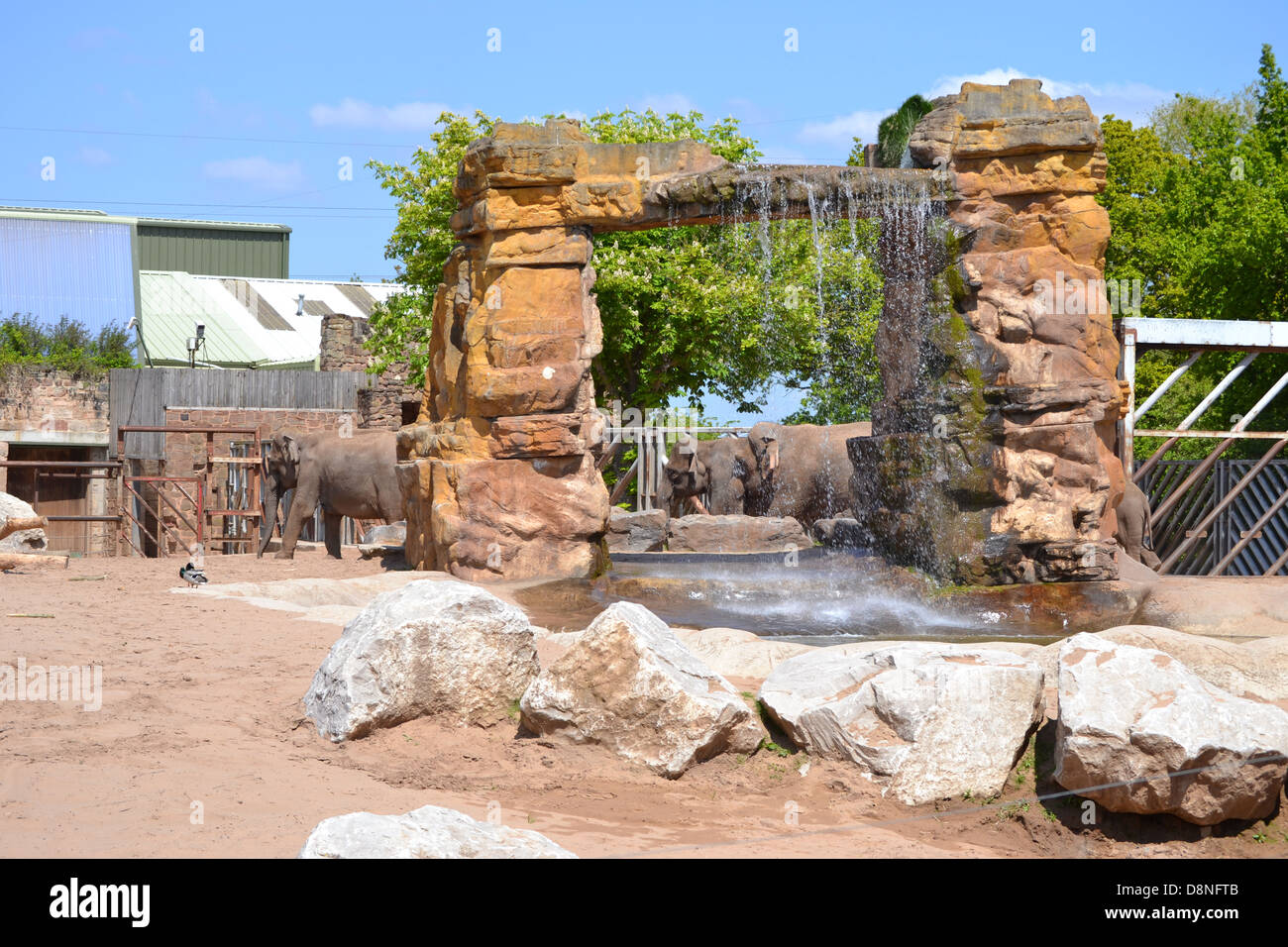 Gli elefanti per lo Zoo di Chester Foto Stock