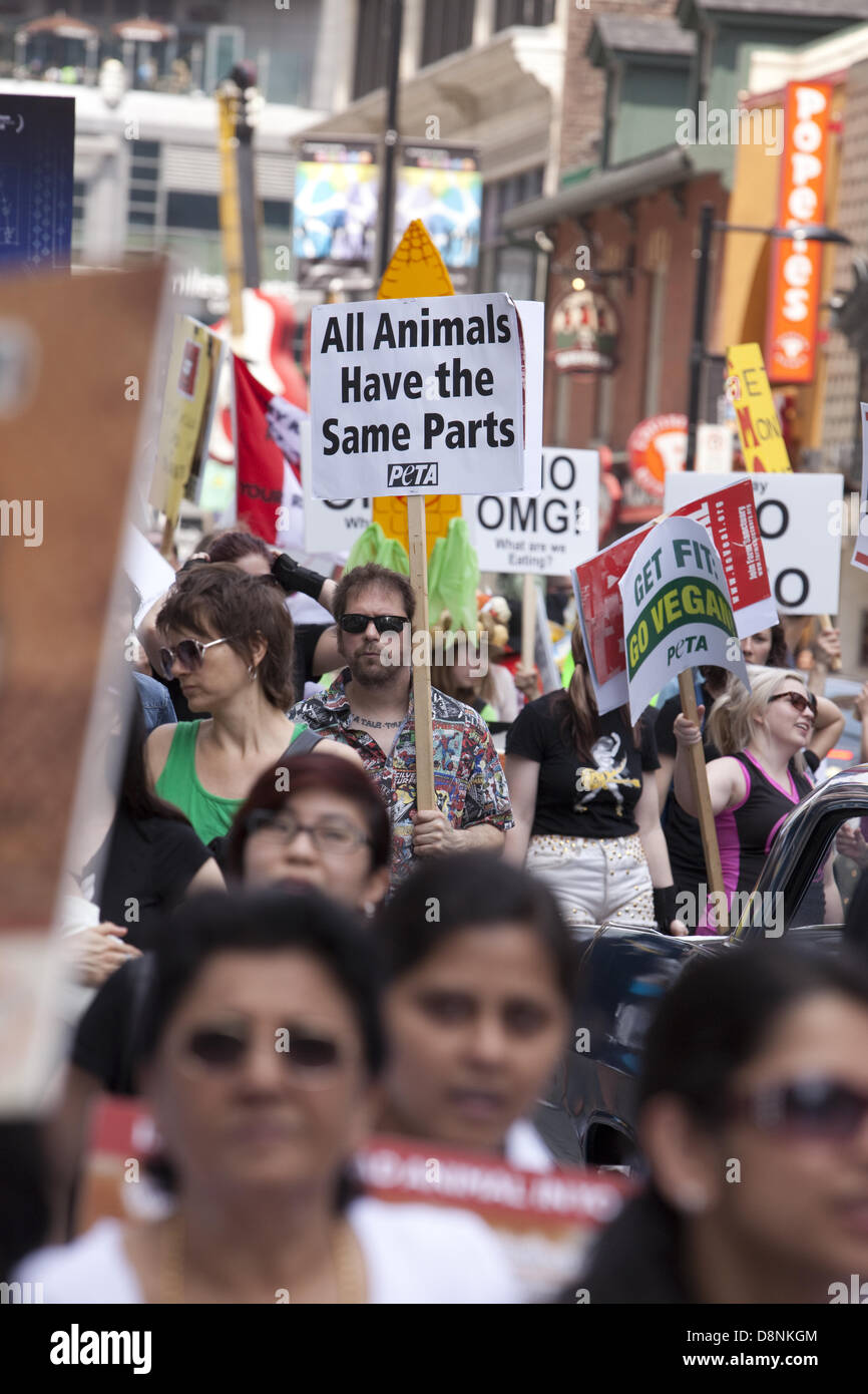 Toronto, Canada. Il 1 giugno, 2013. Attivisti per i diritti degli animali che partecipano al Veggie Pride Parade Giugno 1, 2013 a Toronto in Canada. Foto Stock