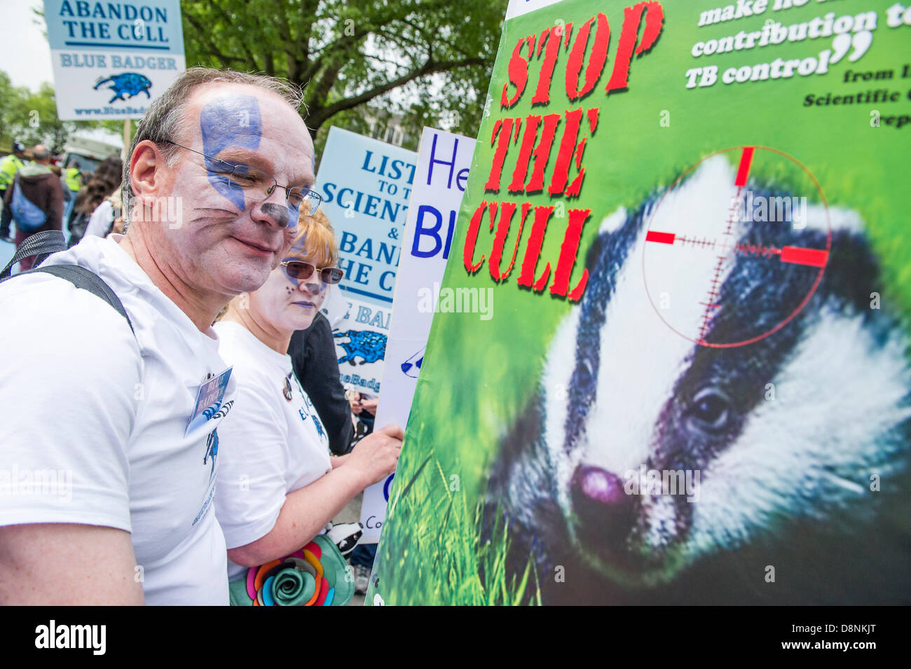 Londra, Regno Unito. Il 1 giugno, 2013. I diritti degli animali i manifestanti contro il badger cull, che inizierà domani, sono guidati da Brian May e Bill Oddie per un rally e marzo passato DEFRA per le Case del Parlamento. Credito: Guy Bell/Alamy Live News Foto Stock