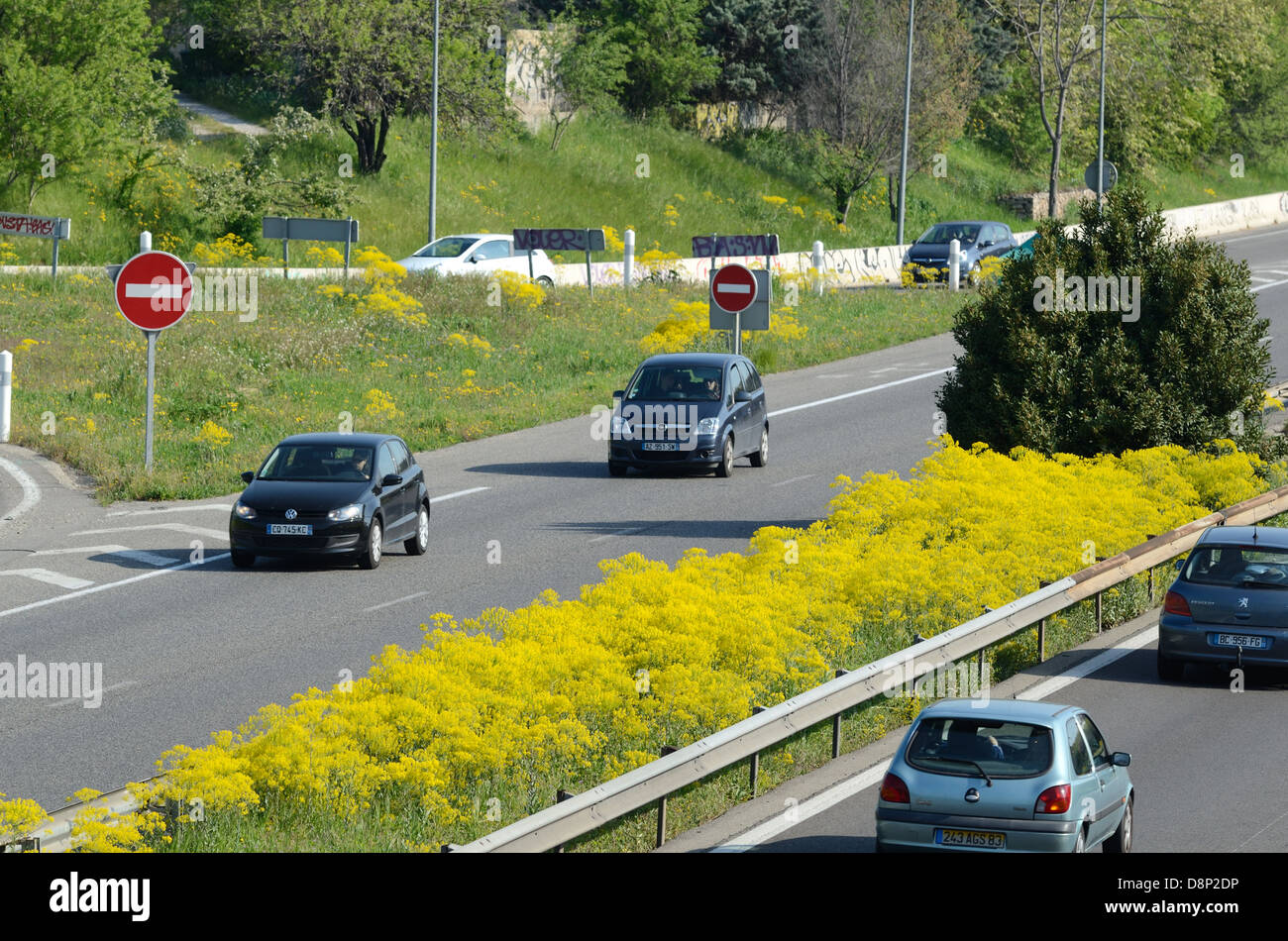Autostrada, autostrada o Autoroute francese con fiori selvatici Primavera comune Ragwort, Jacobaea vulgaris, in Centrale prenotazione o Median Strip Francia Foto Stock