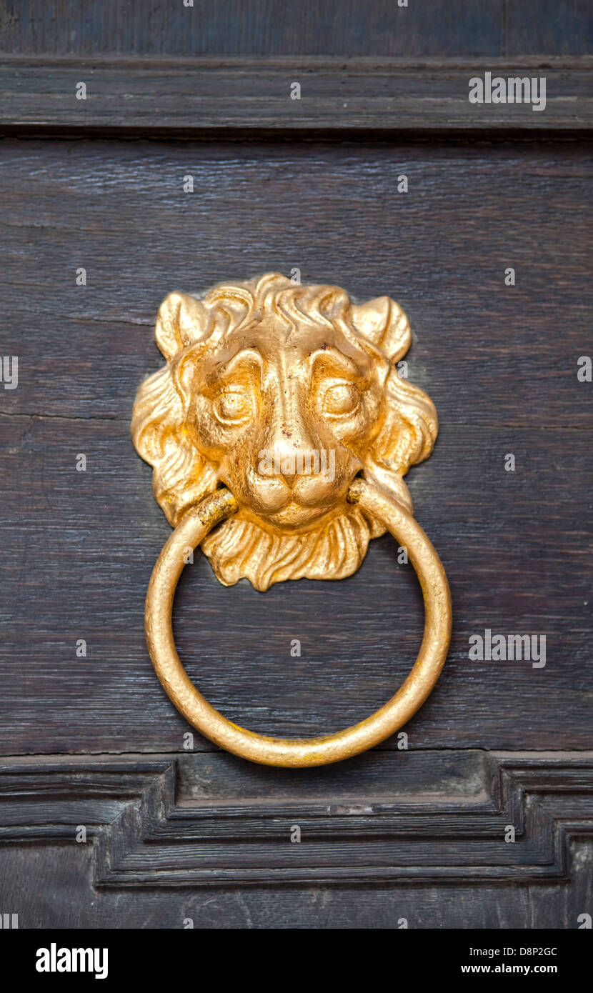 Nassau lion come door knocker, Schloss Weilburg Castello, Weilburg an der Lahn, Hesse, Germania, Europa Foto Stock