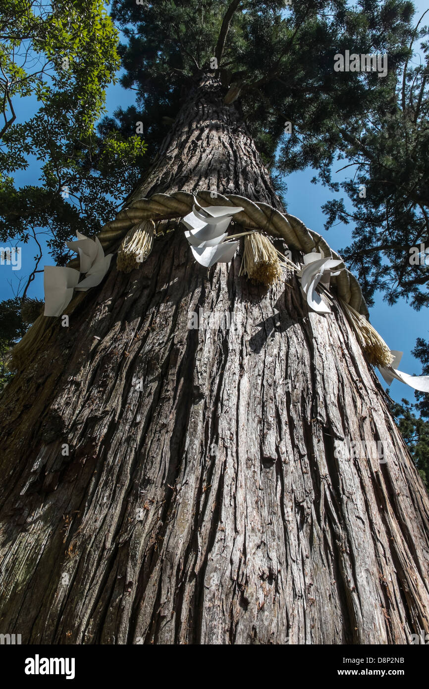 Kibune Santuario, Sakyō-ku, Kyoto, Giappone Foto Stock