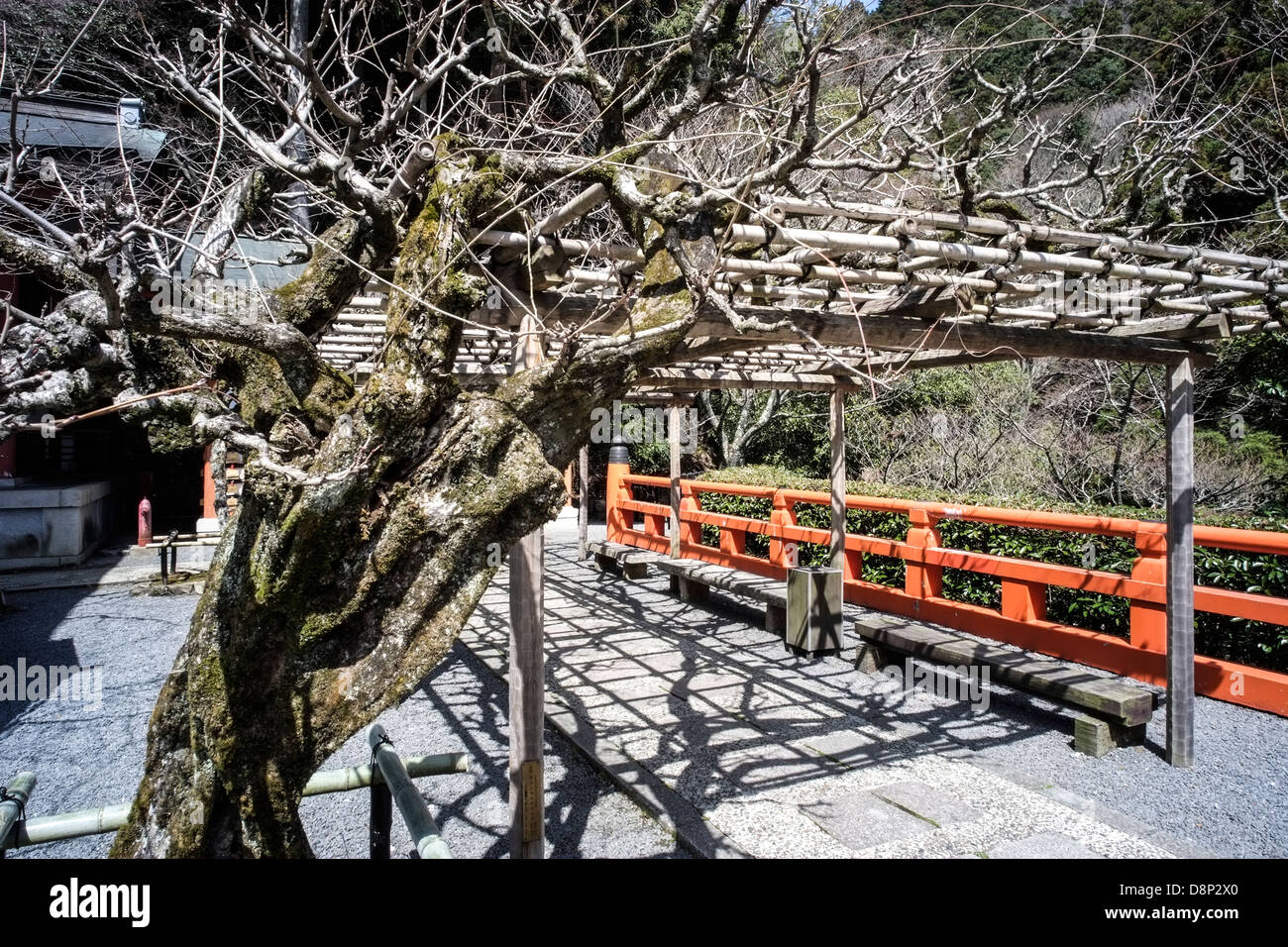 Kurama-dera tempio, Kyoto, Giappone Foto Stock