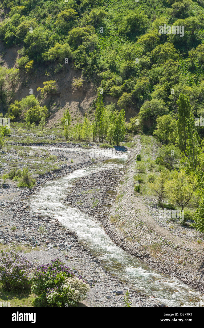 La natura di alberi verdi e il fiume in Almaty, Kazakhstan,Asia Foto Stock