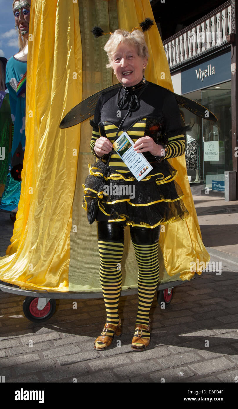 Chester, Regno Unito 2 Giugno, 2013. Christine Highfield, 70 da Crewe presso il Chester è il Carnevale dei giganti che segna il sessantesimo anniversario della sua maestà della incoronazione anno. 60 caratteri giganti sono stati creati da esperti di Chester città gigante. I Giganti e le loro squadre celebrare Elizabeth II per il Giubileo incoronazione con il tema di bug per evidenziare la situazione di umile Bumble Bee. Credito: Conrad Elias/Alamy Live News Foto Stock