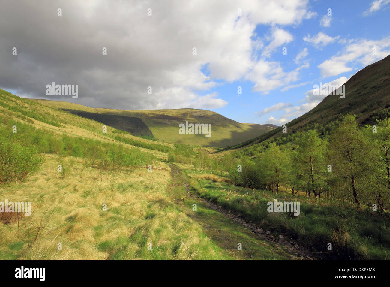 Glen Carrifran guardando verso Moffat Dale, Dumfries and Galloway, Scotland, Regno Unito Foto Stock