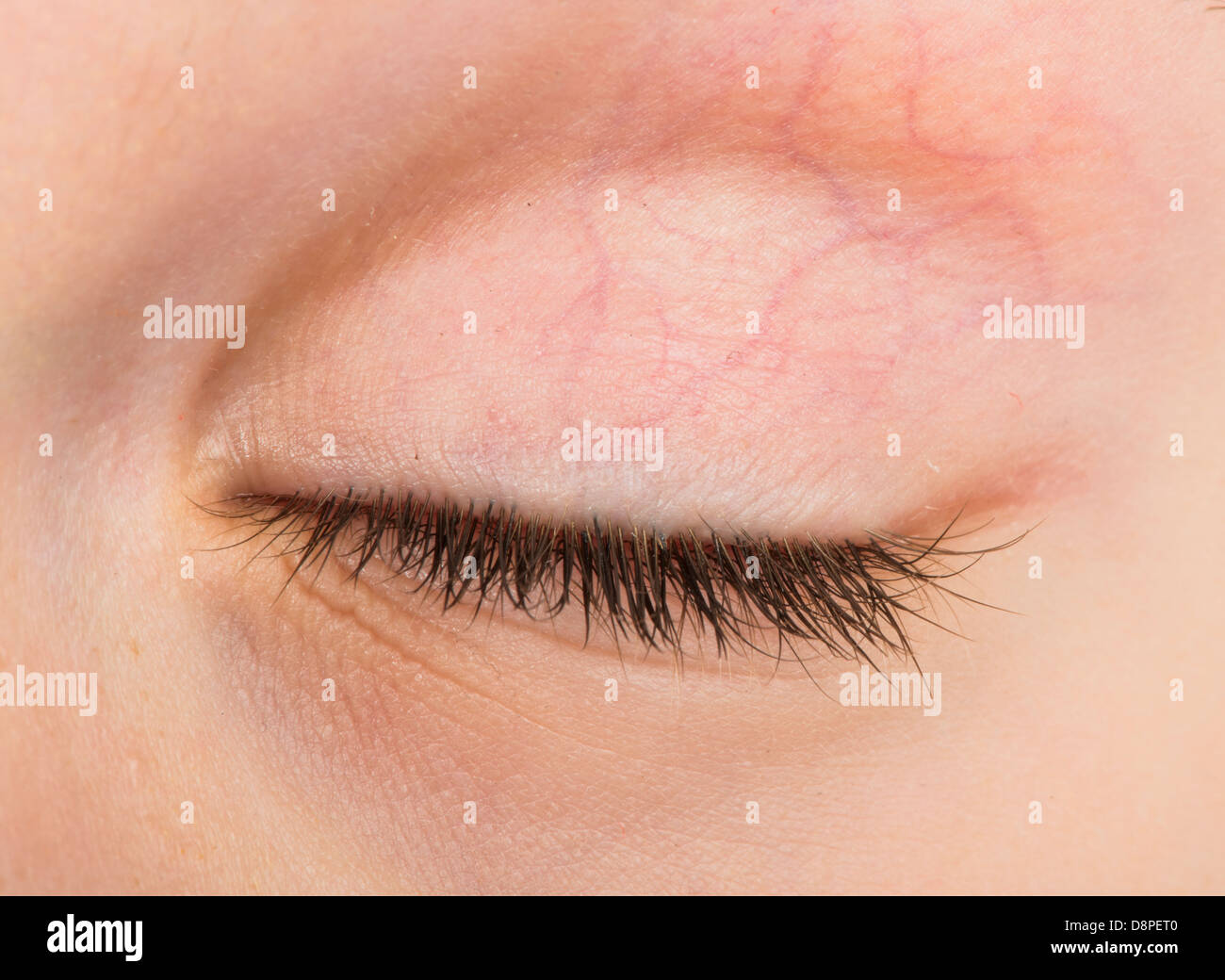 Occhio umano chiuso. Close up studio shot Foto Stock