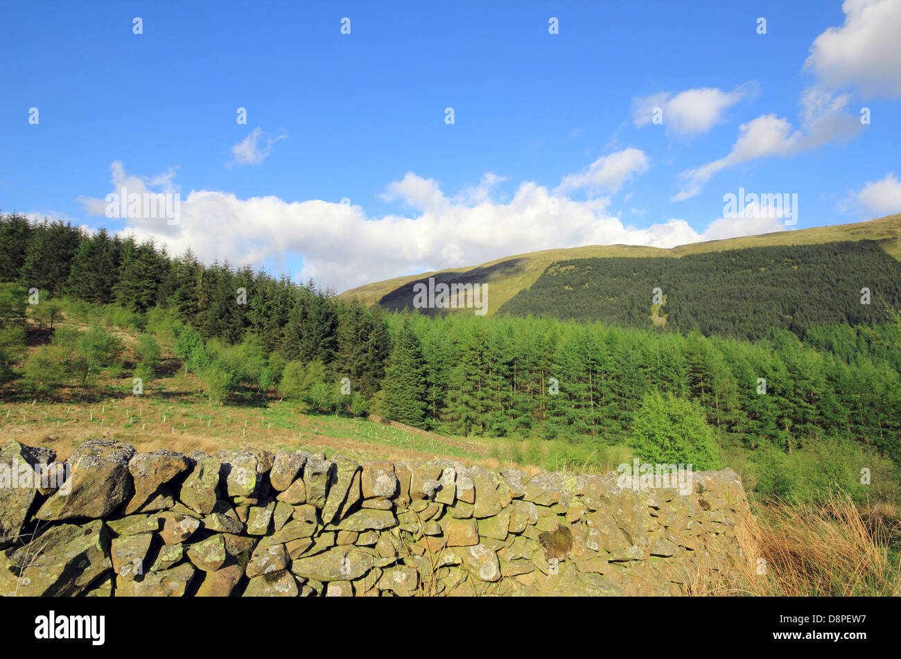 Asciugare la parete in pietra a Moffat Dale, Dumfries and Galloway, Scotland, Regno Unito Foto Stock
