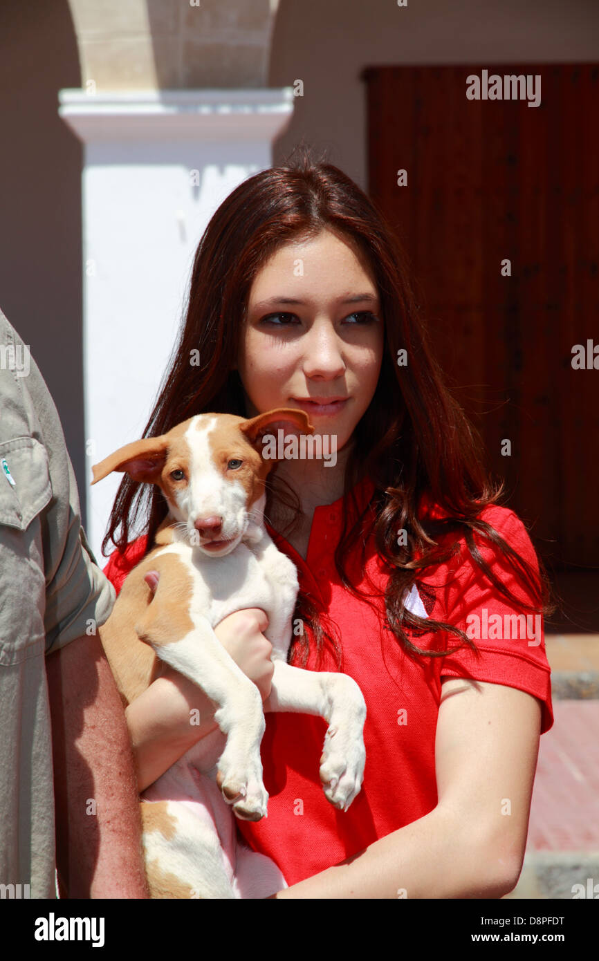 Ragazza giovane azienda un ibizan hound - podenco- il cucciolo di un  Country Fair, Ibiza, Spagna Foto stock - Alamy