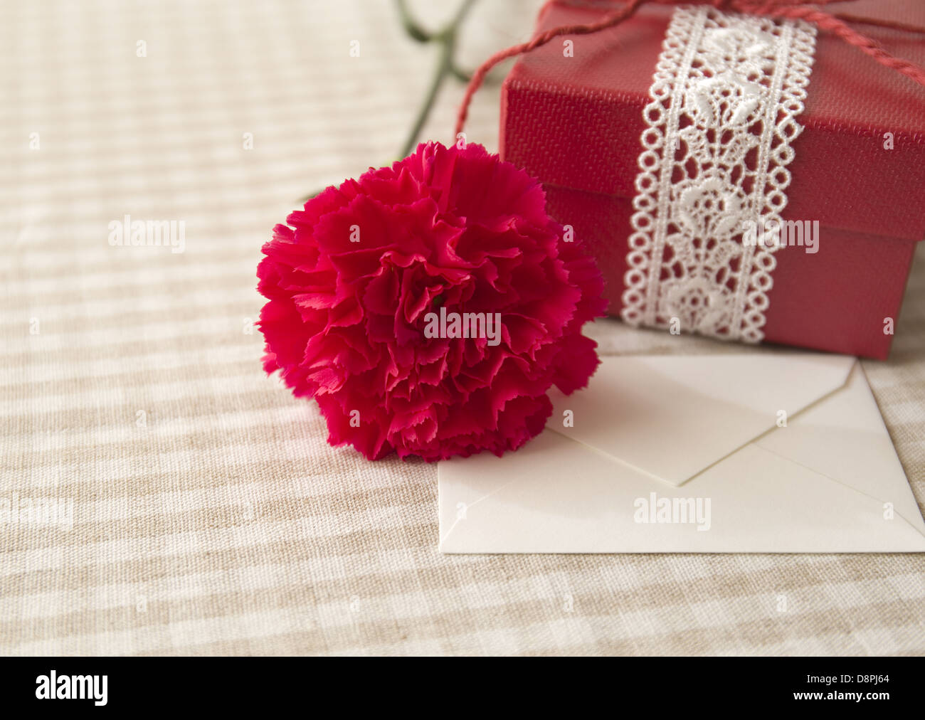 Red Carnation e una confezione regalo Foto Stock