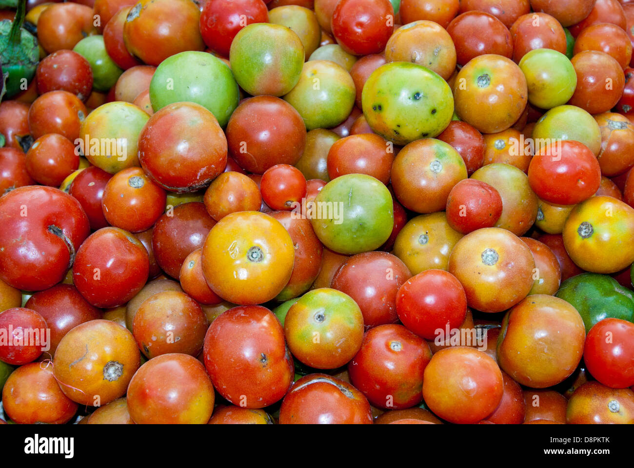 Pomodori freschi in open-air Mercato nel Villaggio di Moca, Madhya Pradesh, India Foto Stock