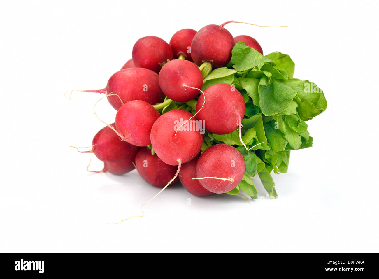 Close-up di un mazzetto di ravanelli su sfondo bianco Foto Stock